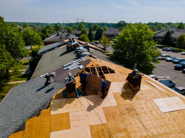 Trusted Roof Replacement service in Cobalt, ID - Brentwood Metal Roofing